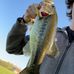 Lukas Moore - Facebook