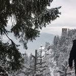 Lukas olsen - @lukasolsen555 - Instagram