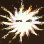 Lukas Petersen - @lukas_petersen01 - Instagram