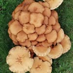 Lukas Petersen - @luk_as1181 - Instagram