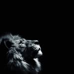 Lukas - @lukas_strong_ - Instagram