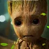 user8804779865450 - @lukaswaller_47 - TikTok