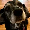 lukaswest694200 - @lukaswest694200 - TikTok
