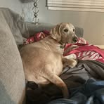 Lukas Wiley - Facebook