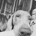 Lukas Williams - Facebook