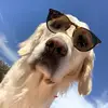 Lukas Williams - @lukas_williams_ - TikTok