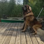 Łukasz Włodarczyk - @wlodi05 - Instagram