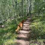 Luke S Abramson - @luke_abramson - Instagram