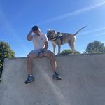 Luke Allard - @lukeallard93 - Instagram