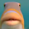 Luke Andersen - @andersenluke - TikTok