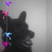 Lucas Asselin - Facebook