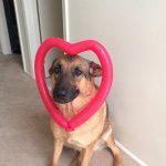Luke Atwell - @mist3rawesome - Instagram