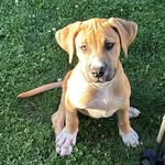 Luke Avery - @luke_avery2606 - Instagram
