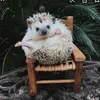 Luke Ballengee - @lukeballengee91 - TikTok