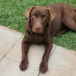 Luke - @_luke_bartalos_ - Instagram