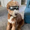 Hussyfluff33 - @lukebaumgartner3 - TikTok