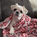 Luke Baumgardner - Facebook