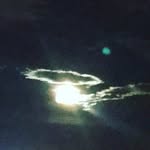 Luke Baxter - @lukebaxter00 - Instagram