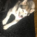 Luke - @luke.baylis15 - Instagram