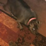 luke beckman - @luke_beckman_33 - Instagram
