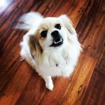 Luke Bender - @lukebender4 - Instagram