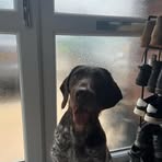 Luke Bentley - Facebook