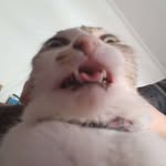 Luke Bentley - @mrcrunchies - Instagram