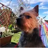 Luke Bernard - @lukebernard1 - TikTok