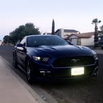 Luke Bickle - @12bickle12 - Instagram