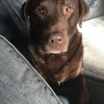 Luke Blount - @shrek_88 - Instagram