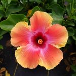 Luke Bowling - @lsb52389 - Instagram