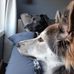 Luke Boyd - Facebook