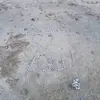 lukeboyd13 - @lukeboyd13 - TikTok
