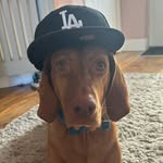 Luke Brooker - @lukebrooker02 - Instagram