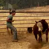 Luke Bruce - @buster.bruce89 - TikTok