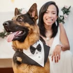 Luke Bryan The German Shepherd - @lukebryan_thegermanshepherd - Instagram