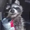 Luke Burch - @luke.burch5 - TikTok