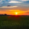 lukeburchett - @lukeburchett - TikTok