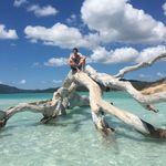Luke Burge - @here.is.luke - Instagram
