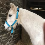 Love- Luke-casper - @love_casper_luke - Instagram