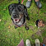 Luke und Casper - @the_big_and_the_little_one - Instagram