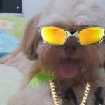 luke castro - @lukezinho_do_grau - Instagram