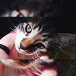luke - @luke__castro - Instagram
