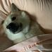 Luke Cavanaugh - Facebook