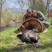 Luke Cavanaugh - Facebook