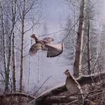 Luke Chaney - @luke.chaney.5 - Instagram