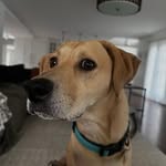 Luke Charles stafford - @luke_charles_stafford011 - Instagram