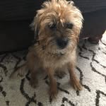 Luke Cherry - @berry_walker68 - Instagram