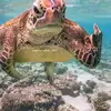 Luke Clevenger - @luke.clevenger - TikTok