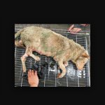 Luke Close - @yulin_needs_to_stop_now - Instagram